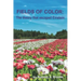 Fields of Color: The Theory that Escaped Einstein