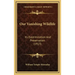 Our Vanishing Wildlife: Its Extermination And Preservation (1913)