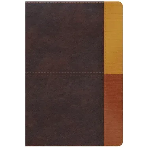 Rvr 1960 Biblia de Estudio Arcoiris, Cocoa/ Terracota Símil Piel Con Índice
