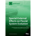 Special External Effects on Fluvial System Evolution