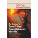 Ai Jiang's Smol Tales From Between Worlds