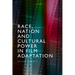 Race, Nation and Cultural Power in Film Adaptation