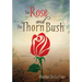 The Rose and the Thorn Bush