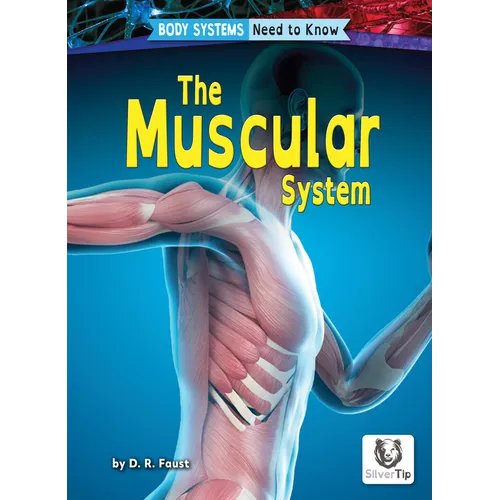 The Muscular System