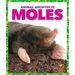 Moles