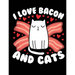 I Love Bacon And Cats: A book for cat & bacon lovers