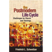 The Postmodern Life Cycle