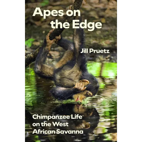 Apes on the Edge: Chimpanzee Life on the West African Savanna