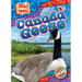 Canada Geese