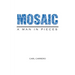 Mosaic: A Man in Pieces