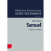 1 Samuel 27 - 2 Samuel 8: Einbanddecke