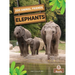 Elephants