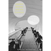 Upward Mobility and the Common Good: Toward a Literary History of the Welfare State