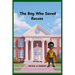 The Boy Who Saved Recess
