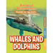 Whales & Dolphins