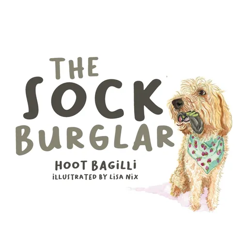 The Sock Burglar