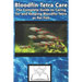 Bloodfin Tetra Care: The Complete Guide to Caring for and Keeping Bloodfin Tetra as Pet Fish