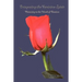 Integrating the Feminine Spirit: Returning to the Womb of Creation