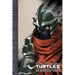 Teenage Mutant Ninja Turtles: The IDW Collection Volume 6
