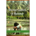 Internal Conflicts in Myanmar: Transnational Consequences