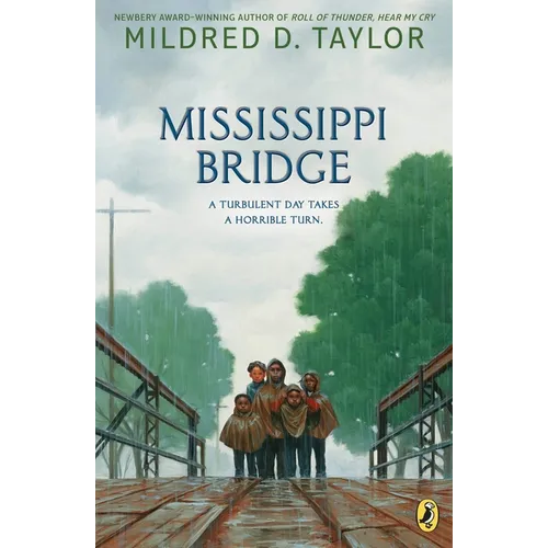 Mississippi Bridge