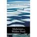 Midwinter at Walden Pond
