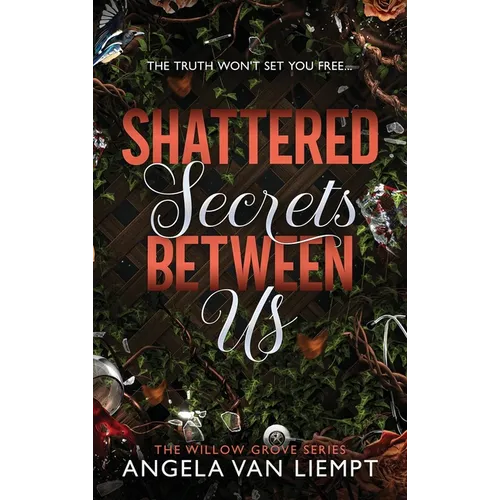 Shattered Secrets Between Us