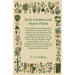 Rock Gardens and Alpine Plants