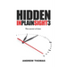 Hidden in Plain Sight 3: The Secret Of Time