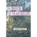 The Invention of the Kaleidoscope