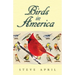 Birds In America