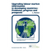 Upgrading labour market information in developing countries: Problems, progress and prospects