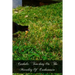 Catholic Teaching On The Morality Of Euthanasia