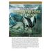 Fallen Angels, Giants, Monsters, and the World Before the Flood Study Guide