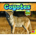 Coyotes
