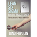 Lean Six Sigma for the Practitioner: The Hows and Whys of Process Improvement