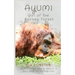 Ayumi Girl of the Borneo Forest