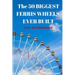The 50 Biggest Ferris Wheels Ever Built: Guide to the World's Largest Observation Wheels