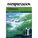 Galatians: Interpretation: A Bible Commentary for Teaching and Preaching