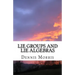 Lie Groups and Lie Algebras: A Rewrite of Lie Theory