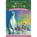 Polar Bears Past Bedtime