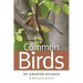 Common Birds of Greater Atlanta