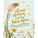 Slow Down and Be Here Now: More Nature Stories to Make You Stop, Look, and Be Amazed by the Tiniest Things