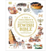 The Children's Illustrated Jewish Bible