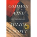 The Common Wind: Afro-American Currents in the Age of the Haitian Revolution