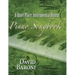 A Quiet Place: Instrumental Hymns Piano Songbook