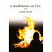 A Meditation on Fire: Poems