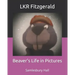 Beaver's Life in Pictures: Samlesbury Hall