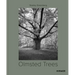 Olmsted Trees: Stanley Greenberg