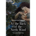 At the Back of the North Wind